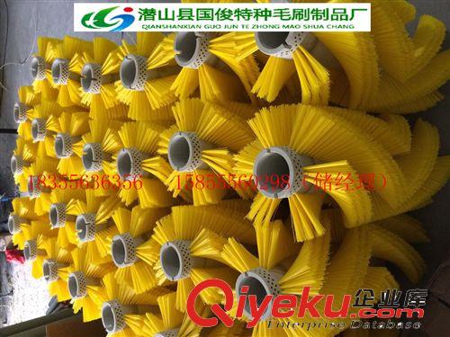 廠家直銷優質各類掃地車毛刷輥 圓盤刷 方塊刷等原始圖片2