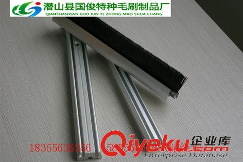 廠家直銷扶梯阻燃密封毛刷  門窗密封毛刷條等原始圖片2
