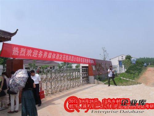 小尾寒羊羔羊價格，小尾寒羊利潤，圈養小尾寒羊，小尾寒羊價格原始圖片3