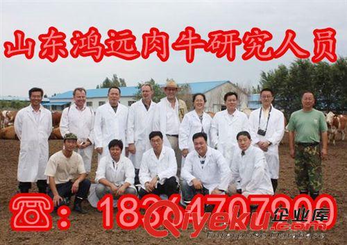 波爾山羊肉羊價格，波爾山羊市場價格，波爾山羊羊苗價格。原始圖片2