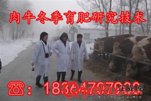 西門塔爾牛多少錢一頭 西門塔爾牛養(yǎng)殖場(chǎng) 種牛一年可以繁殖幾個(gè)原始圖片3