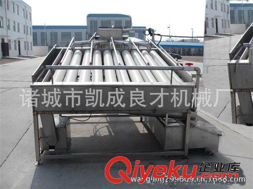 供應新型大蒜分級機原始圖片3