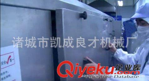 【新技術(shù)】供應(yīng)節(jié)能型全自動(dòng)氣泡翻滾蔬菜洗碗機(jī)流水線(xiàn)原始圖片2