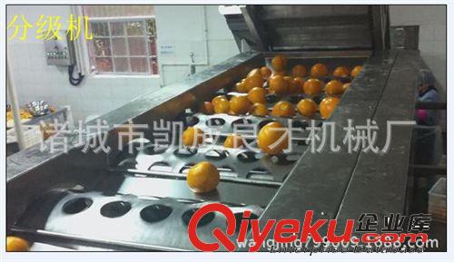 果蔬分級機(jī)，滾杠分級機(jī)原始圖片2