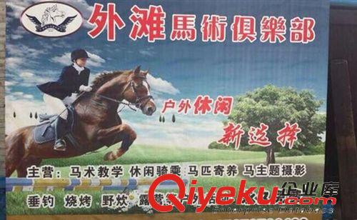 一匹小馬的價格 迷你馬一匹多少錢 寵物馬多少錢匹