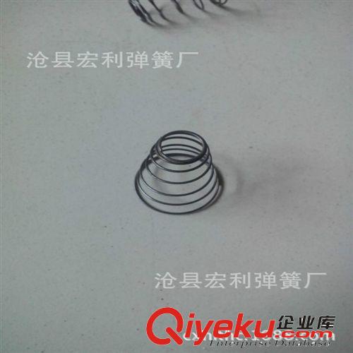 廠家供應 彈簧、寶塔彈簧、蛇形彈簧，卡簧擋圈，吊鏈彈簧原始圖片2