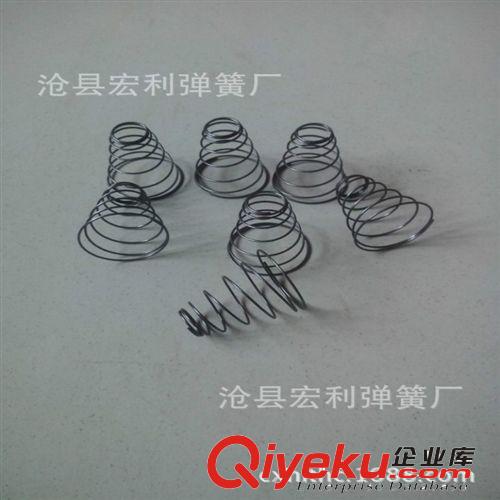 廠家供應 彈簧、寶塔彈簧、蛇形彈簧，卡簧擋圈，吊鏈彈簧原始圖片3