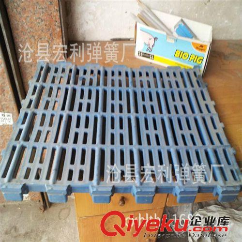 【河北廠家銷售】復(fù)合全封閉漏糞板 半邊復(fù)合漏糞板 養(yǎng)殖設(shè)備專用原始圖片2
