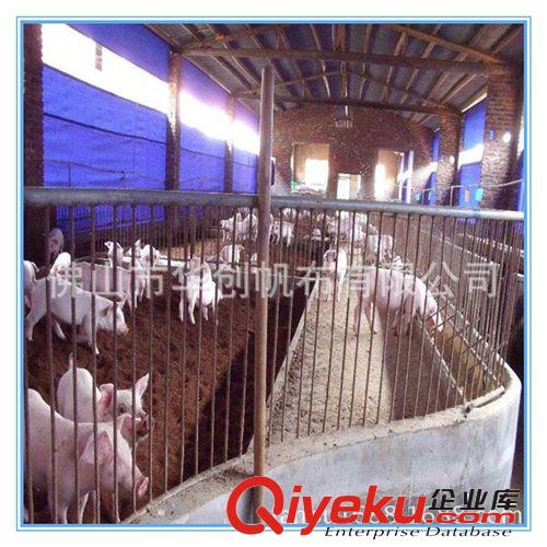 供應透光保暖防寒豬場卷簾 耐磨耐酸堿防老化養殖養豬場帆布卷簾原始圖片3