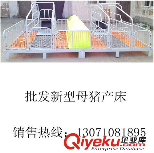 供應新一代母豬產床價格|新一代母豬產床生產廠家原始圖片3