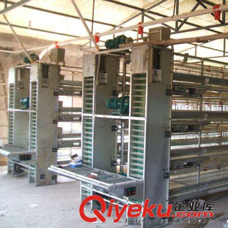 雞場專用設備——自動撿蛋機生產(chǎn)廠家|撿蛋機價格