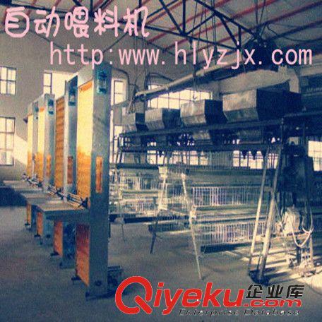 供應養雞場專用5排4層自動喂料機