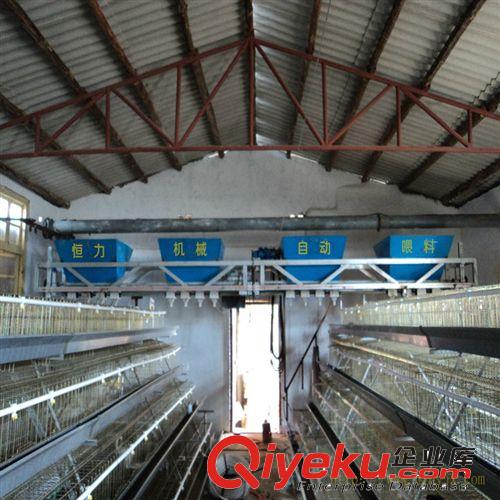 供應(yīng)蛋雞專用喂養(yǎng)設(shè)備-環(huán)保型自動喂料機(jī)