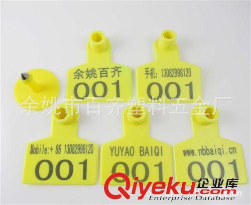 供應(yīng)5042畜牧豬耳標(biāo)激光帶字耳標(biāo)牌--易安裝便于追蹤管理