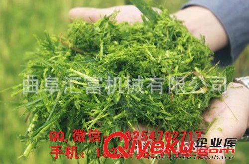 采食量较高的牲畜秸秆揉搓机 技术先进青贮机 汇富青贮机厂家