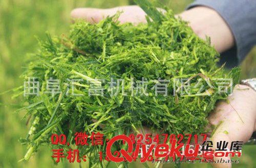 家用380v大型青貯機(jī) 可用于家用青貯機(jī) 青草青貯機(jī)規(guī)格