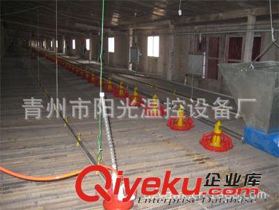 雞舍鴨舍專(zhuān)用水線生產(chǎn)廠家 陽(yáng)光溫控直銷(xiāo)