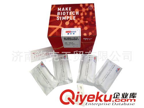 掌上獸用B超 動物b超機 牛馬用B超 彩色動物B超 高清B超