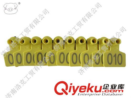 洛克供帶字黃色豬用耳標號牌帶釘 養(yǎng)殖用豬場標識記號用小設備原始圖片3