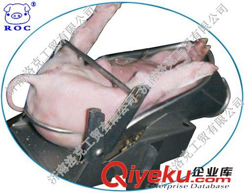 進口純手工打造不銹鋼材質仔豬2-10日小號閹割臺/閹割用輔助架原始圖片2