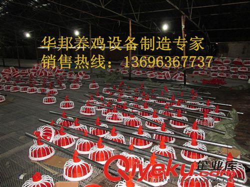 青州華邦專業(yè)生產(chǎn)自動化養(yǎng)雞設(shè)備 養(yǎng)雞料線 肉雞主料線 南非絞龍