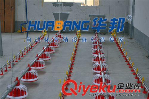 青州華邦專業(yè)生產(chǎn)自動化養(yǎng)雞設(shè)備 養(yǎng)雞料線 肉雞主料線 南非絞龍原始圖片3