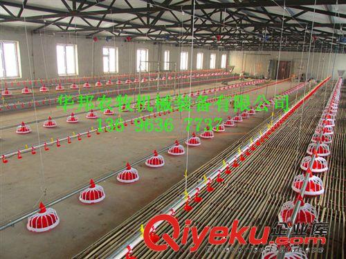養(yǎng)殖通風(fēng)設(shè)備 雞舍自動(dòng)投料機(jī)肉雞自動(dòng)水線料線{sx}華邦原始圖片3