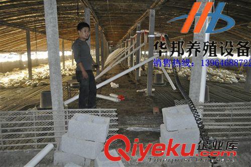 供應華邦養(yǎng)殖設備 肉雞專用設備 肉鴨自動喂料設備  40kg鴨用料筒