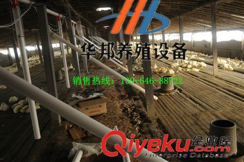 供應(yīng)養(yǎng)鴨設(shè)備 自動化鴨用上料機  淄博地區(qū){sx}華邦 品質(zhì)保證原始圖片2