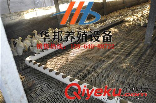供應(yīng)養(yǎng)鴨設(shè)備 自動化鴨用上料機  淄博地區(qū){sx}華邦 品質(zhì)保證原始圖片3