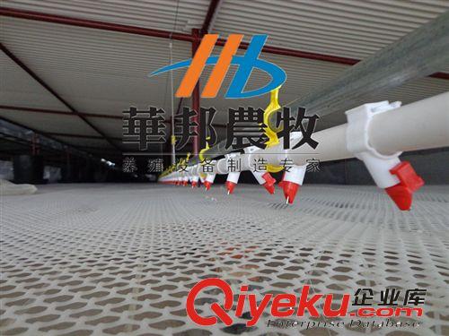 供應自動養鴨設備 鴨用自動喂料設備 淄博地區鴨用料線{sx}華邦原始圖片2