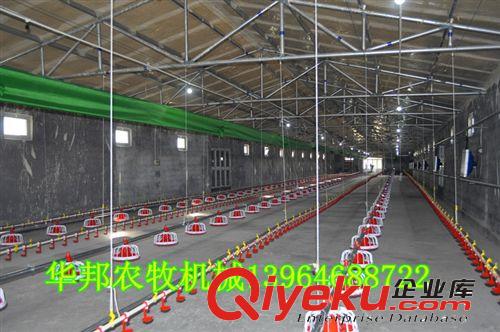 供應自動養鴨設備 鴨用自動喂料設備 淄博地區鴨用料線{sx}華邦