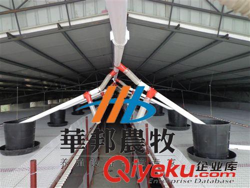 華邦供應鴨用自動喂料線 全自動化養(yǎng)鴨設備  純原料鴨用料筒原始圖片3