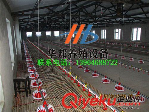 青州華邦供應優質養雞設備  育雛專用加溫設備 雞舍燃煤取暖設備