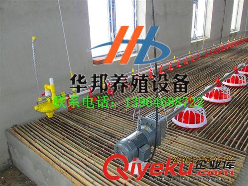 肉雞養(yǎng)殖設(shè)備 養(yǎng)雞設(shè)備的制造專家--華邦農(nóng)牧