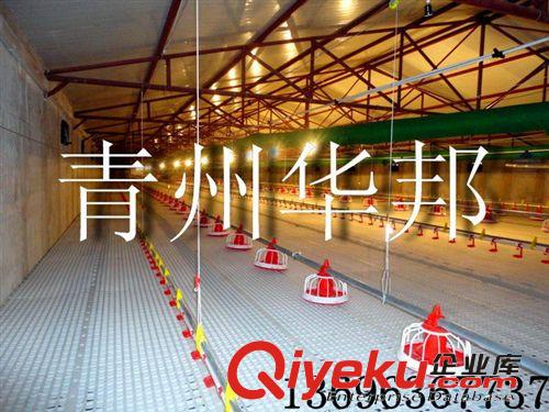 青州華邦農(nóng)牧專業(yè)生產(chǎn)肉雞養(yǎng)殖設(shè)備 新一代養(yǎng)雞設(shè)備的{ldz}原始圖片3