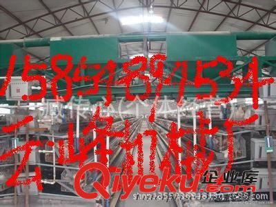 自動喂料機蛋雞養殖場 蛋雞養殖設備 自動喂料機  自動上料機