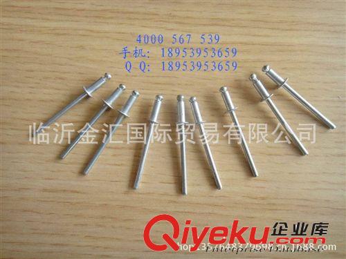 標準國標型 非標型 半空鉚釘 實心鉚釘 抽芯鉚釘 鉚釘 拉鉚釘