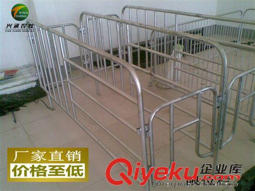 養豬設備母豬限位欄 定位欄養殖器械