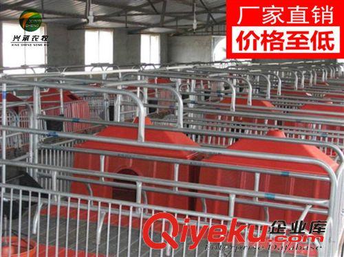 廠家直銷養豬設備母豬產床養殖器械
