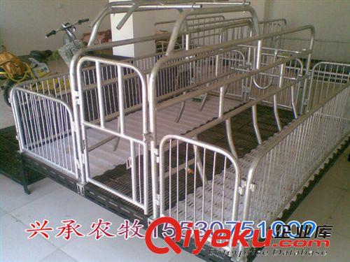 養豬設備母豬產床保育床限位欄