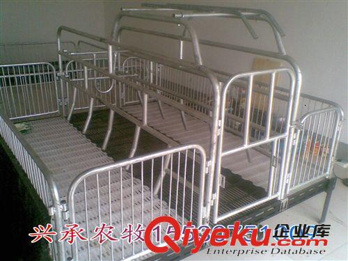 養豬設備母豬產床保育床限位欄