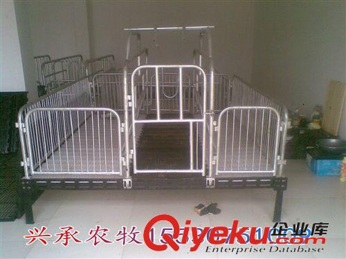 養豬設備母豬產床保育床限位欄