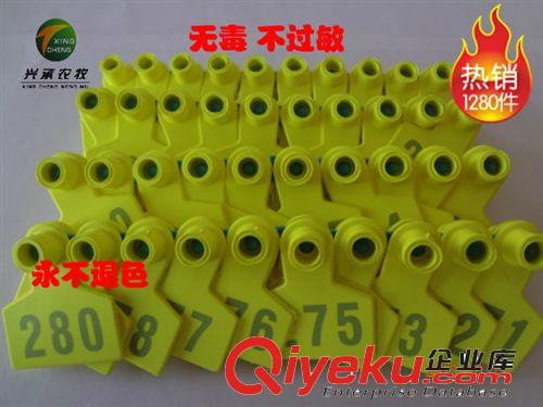 養(yǎng)豬設(shè)備帶字耳標(biāo)yb退色養(yǎng)殖器械