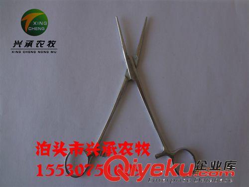 養豬器械母豬產床仔豬保溫箱
