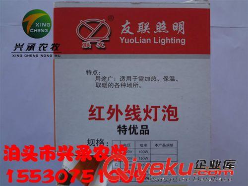 養豬設備友聯紅外線燈泡 發熱 保暖燈 養殖器械原始圖片2