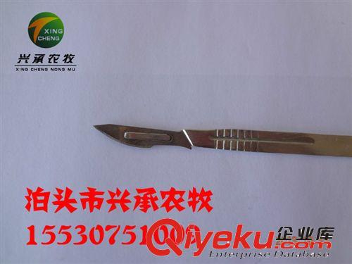 醫(yī)用養(yǎng)殖器械手術(shù)刀柄不銹鋼原始圖片3