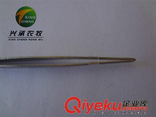 醫(yī)用養(yǎng)殖器械碳鋼捏子原始圖片3