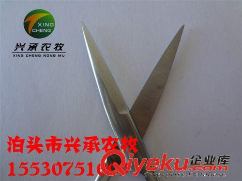 養(yǎng)豬設(shè)備直剪醫(yī)用養(yǎng)殖器械剪刀原始圖片3