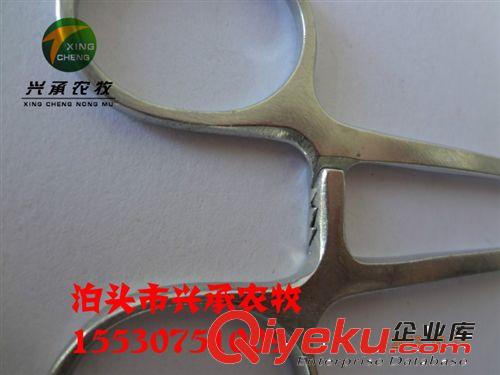 醫(yī)用養(yǎng)殖器械養(yǎng)豬設(shè)備持針鉗原始圖片2